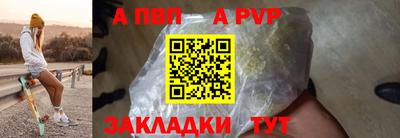 бошки Кингисепп