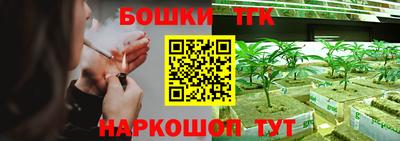 бошки Кингисепп