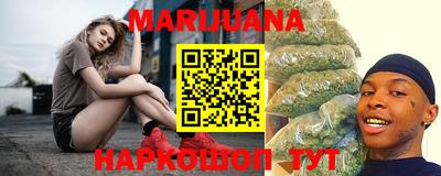 бошки Кингисепп