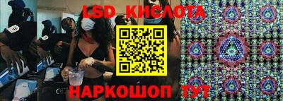 бошки Кингисепп
