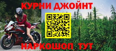 бошки Кингисепп