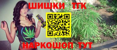 бошки Кингисепп