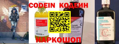 бошки Кингисепп
