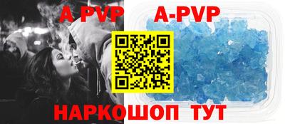 бошки Кингисепп