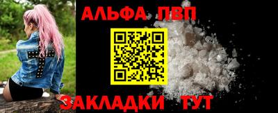 бошки Кингисепп