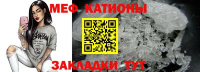 бошки Кингисепп