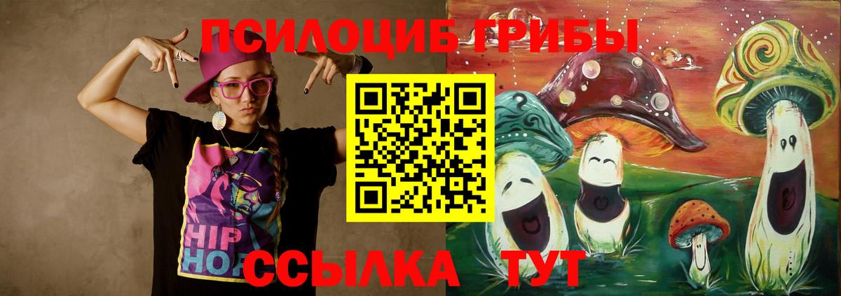 Кострома  где найти наркотики  Галлюциногенные грибы Cubensis  Вход с VPN  Псилоцибиновые грибы Cubensis 