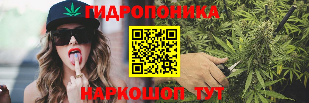 Бошки марихуана марихуана Кострома